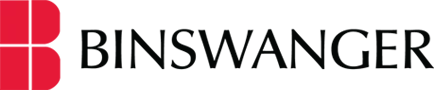 Binswanger2