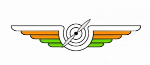 Drones Fedeeration of India