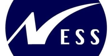 Ness Blue Logo