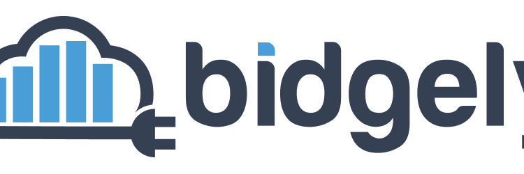 Bidgely Logo