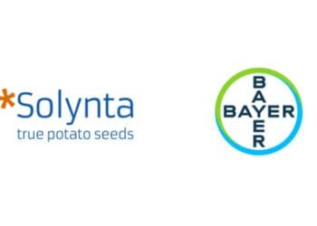 Solynta X Bayer
