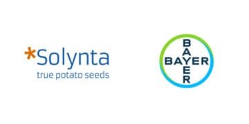 Solynta X Bayer