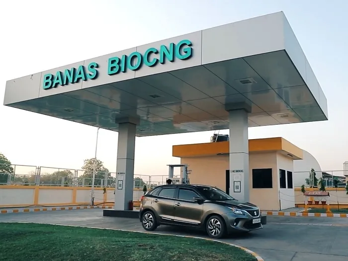 Banas Dairy.