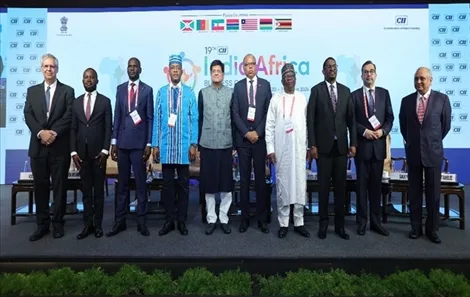 CII - India Africa Conclave