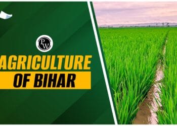 Agriculture Of Bihar