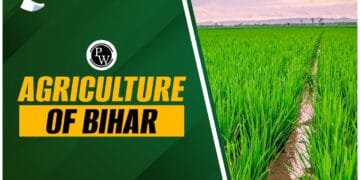 Agriculture Of Bihar