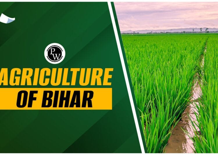 Agriculture Of Bihar