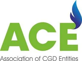 ACE