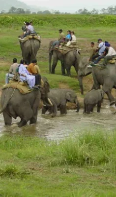 AwesomeAassam