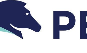Pega