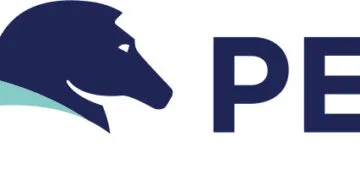 Pega